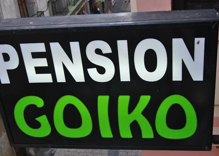 Pensjonat Goiko